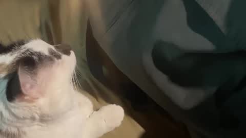 Snapshot of nick_and_bennie chatting on September 2025 02:46:02 AM Nick f and Bennie m online show from September 2025 02:46:02 AM