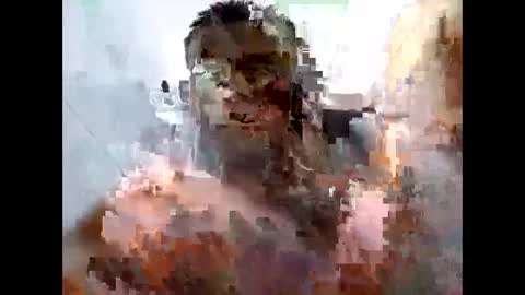 nicktristen_16 online show from December 2024 03:47:02 AM