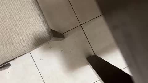 Carlos Nico online show from March 2026 09:05:01 AM