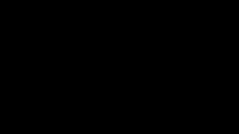 Nicole online show from September 2025 11:43:01 AM