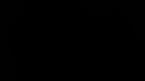 Nicole online show from September 2025 01:59:01 PM