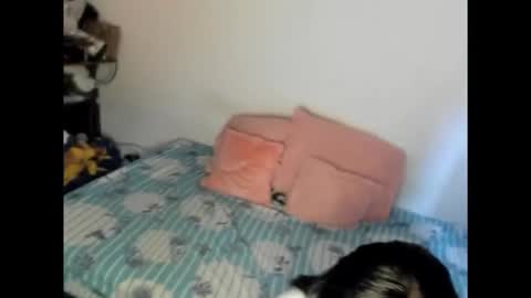 Snapshot of nicolefluffypussy chatting on February 2026 06:15:02 PM Nicole jaymes online show from February 2026 06:15:02 PM