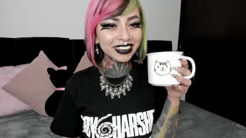 Snapshot of nikkiramone chatting on December 2024 01:12:01 PM Nikki Ramone online show from December 2024 01:12:01 PM