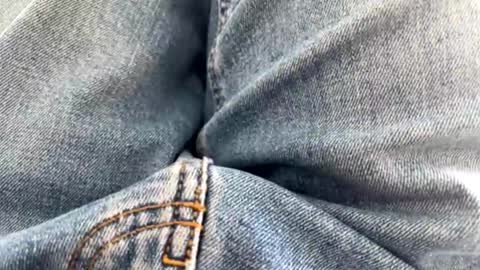 Nikk online show from September 2025 09:42:02 AM