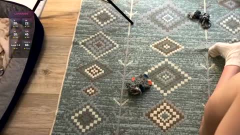 Jennet online show from December 2024 07:49:01 PM