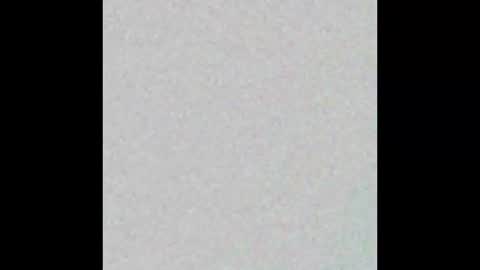 Nina online show from January 2026 12:40:01 PM