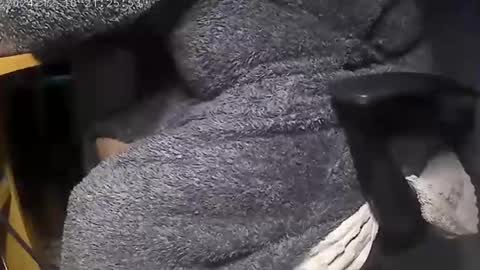 nineinchhard online show from December 2024 08:00:02 AM