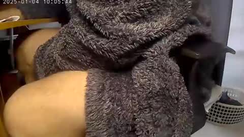 nineinchhard online show from January 2025 10:05:01 AM