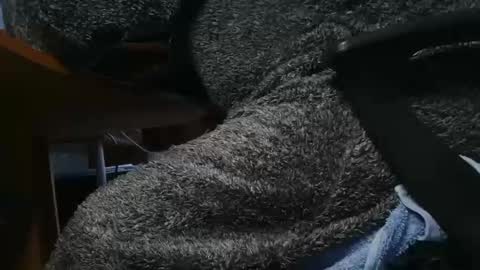 nineinchhard online show from January 2025 10:22:01 AM