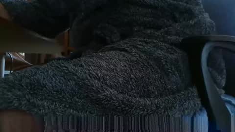 nineinchhard online show from March 2025 08:02:01 AM