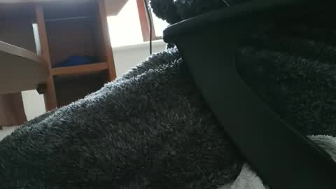 nineinchhard online show from October 2025 10:49:01 AM