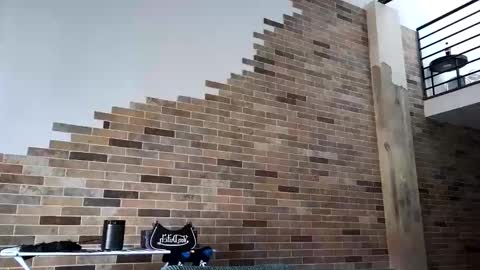 Snapshot of niviawolfe chatting on March 2026 12:15:01 AM NIVIA WOLFE online show from March 2026 12:15:01 AM