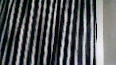 Snapshot of nixtr1210131507 chatting on September 2025 05:51:02 PM FUZZY-D online show from September 2025 05:51:02 PM