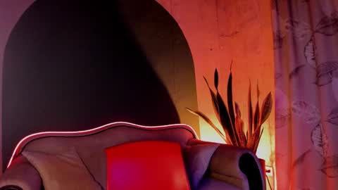 Snapshot of noah_jones__ chatting on December 2024 08:28:02 AM Noah online show from December 2024 08:28:02 AM