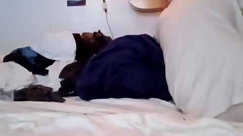 Noah Wesley online show from January 2025 02:12:02 PM