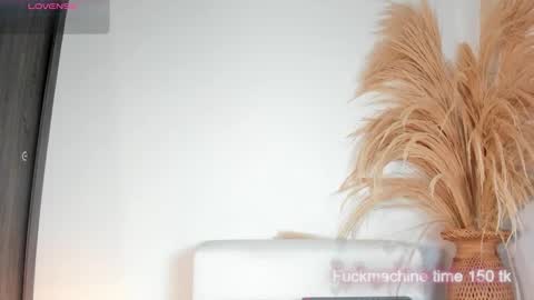 Noami Rose  online show from November 2025 02:36:01 AM