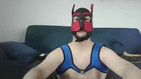 Snapshot of noapratzfr chatting on March 2025 12:39:02 PM noapratzfr online show from March 2025 12:39:02 PM