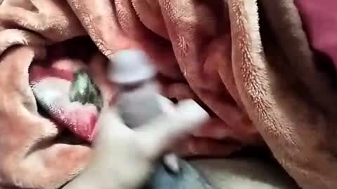 Snapshot of nooby942461 chatting on December 2024 05:44:01 AM sim nib online show from December 2024 05:44:01 AM