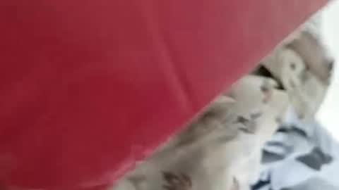 Snapshot of nooby942461 chatting on January 2025 05:16:02 AM sim nib online show from January 2025 05:16:02 AM