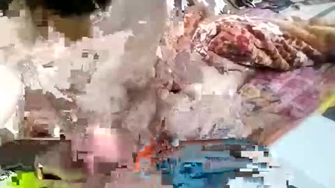 Snapshot of nooby942461 chatting on January 2025 09:29:02 AM sim nib online show from January 2025 09:29:02 AM