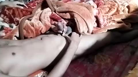 Snapshot of nooby942461 chatting on January 2025 06:38:01 AM sim nib online show from January 2025 06:38:01 AM