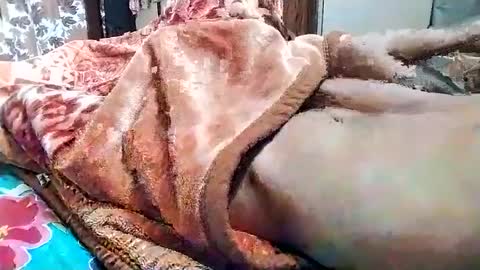 Snapshot of nooby942461 chatting on March 2025 05:31:02 AM sim nib online show from March 2025 05:31:02 AM