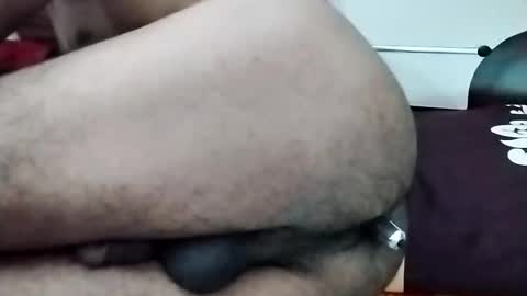 Snapshot of nooby942461 chatting on November 2025 11:42:01 AM sim nib online show from November 2025 11:42:01 AM