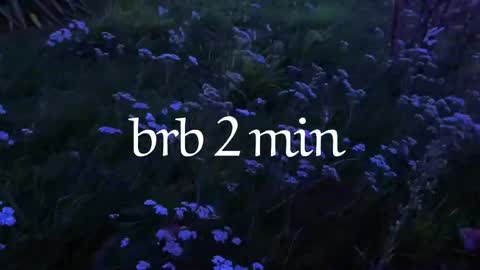 Noori online show from April 2026 10:07:02 PM