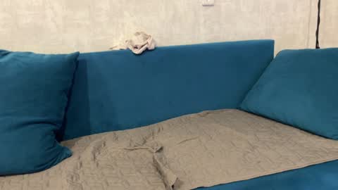 Snapshot of norakiso chatting on December 2024 12:55:02 PM Eva online show from December 2024 12:55:02 PM