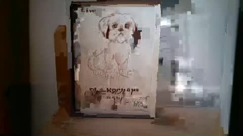 norbertopl87 online show from January 2025 05:15:01 PM