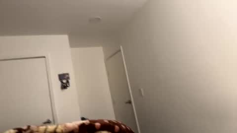 se le perdio algo perra hp online show from December 2024 08:15:02 AM