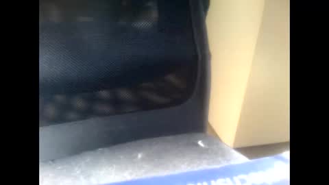 nostradamuslu online show from November 2025 08:24:01 AM