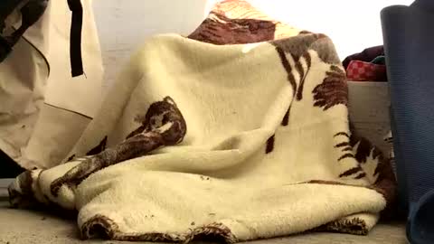 Snapshot of nuevotiempo chatting on February 2026 12:57:02 PM nuevotiempo online show from February 2026 12:57:02 PM