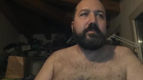 Snapshot of nutelloso79 chatting on December 2024 02:27:01 PM Nutelloso online show from December 2024 02:27:01 PM