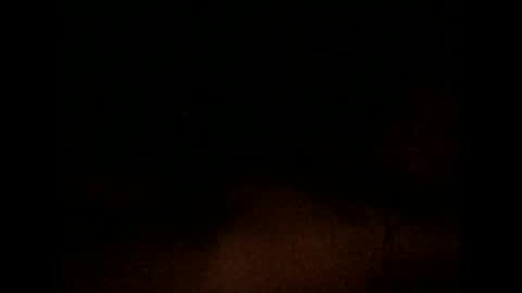 nxleon online show from December 2024 11:36:02 AM