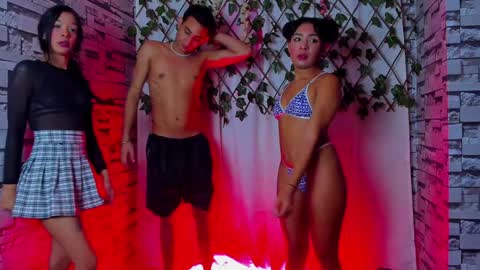 Powerfull tree69 online show from February 2025 02:37:01 AM