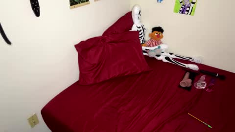 Nymphaea online show from November 2025 12:08:02 AM