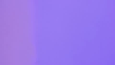   online show from December 2024 05:12:01 PM