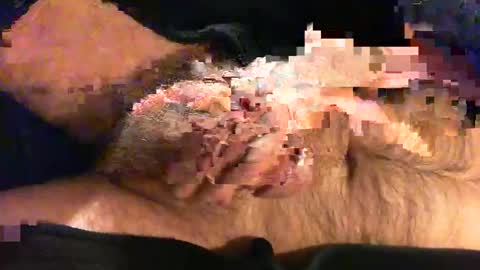 o269x2 online show from November 2025 10:46:02 AM