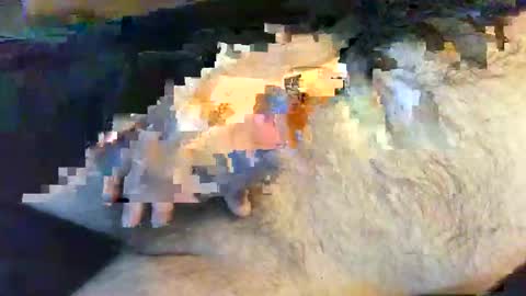 Snapshot of o269x2 chatting on May 2026 10:12:02 AM o269x2 online show from May 2026 10:12:02 AM