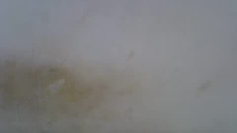Snapshot of oceanwavves chatting on May 2026 06:23:02 PM Paloma online show from May 2026 06:23:02 PM