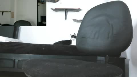 Snapshot of oezack__ chatting on May 2026 03:48:01 AM Zack online show from May 2026 03:48:01 AM