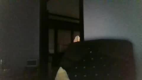 Officer online show from December 2024 07:45:02 AM