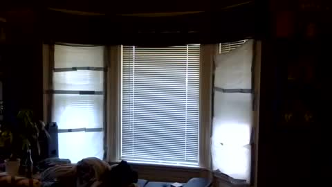 oscar flores online show from April 2026 01:12:01 PM