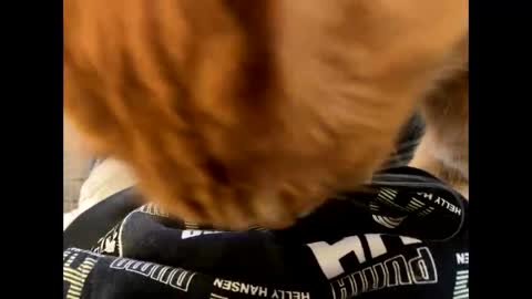 oggs48 online show from October 2025 11:22:02 AM