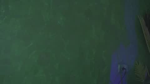 Julia online show from March 2025 07:32:01 AM