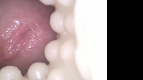 ohioguy4201985 online show from April 2026 06:34:01 PM