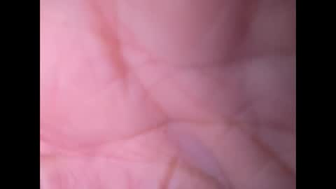 Snapshot of oldaddy2 chatting on September 2025 07:10:02 AM oldaddy2 online show from September 2025 07:10:02 AM