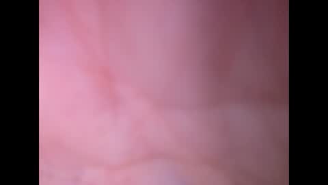 Snapshot of oldaddy2 chatting on February 2026 12:46:01 PM oldaddy2 online show from February 2026 12:46:01 PM