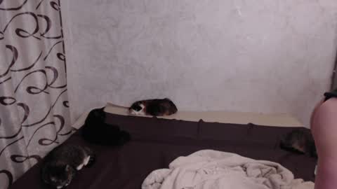Snapshot of olivia_redd chatting on May 2026 08:49:02 PM Olivia online show from May 2026 08:49:02 PM